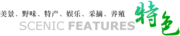 保定泓皇誠(chéng)荒山開(kāi)發(fā)有限公司